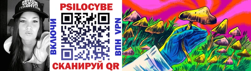 Купить закладки  Кондрово  Галлюциногенные грибы Cubensis 
